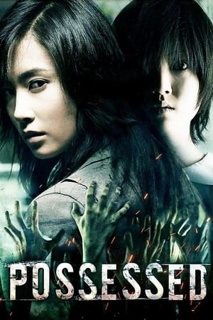 Possessed (2009) Hindi Dual Audio [890MB]