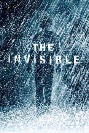 The Invisible 2007 Hindi Dual Audio Movie - 850MB